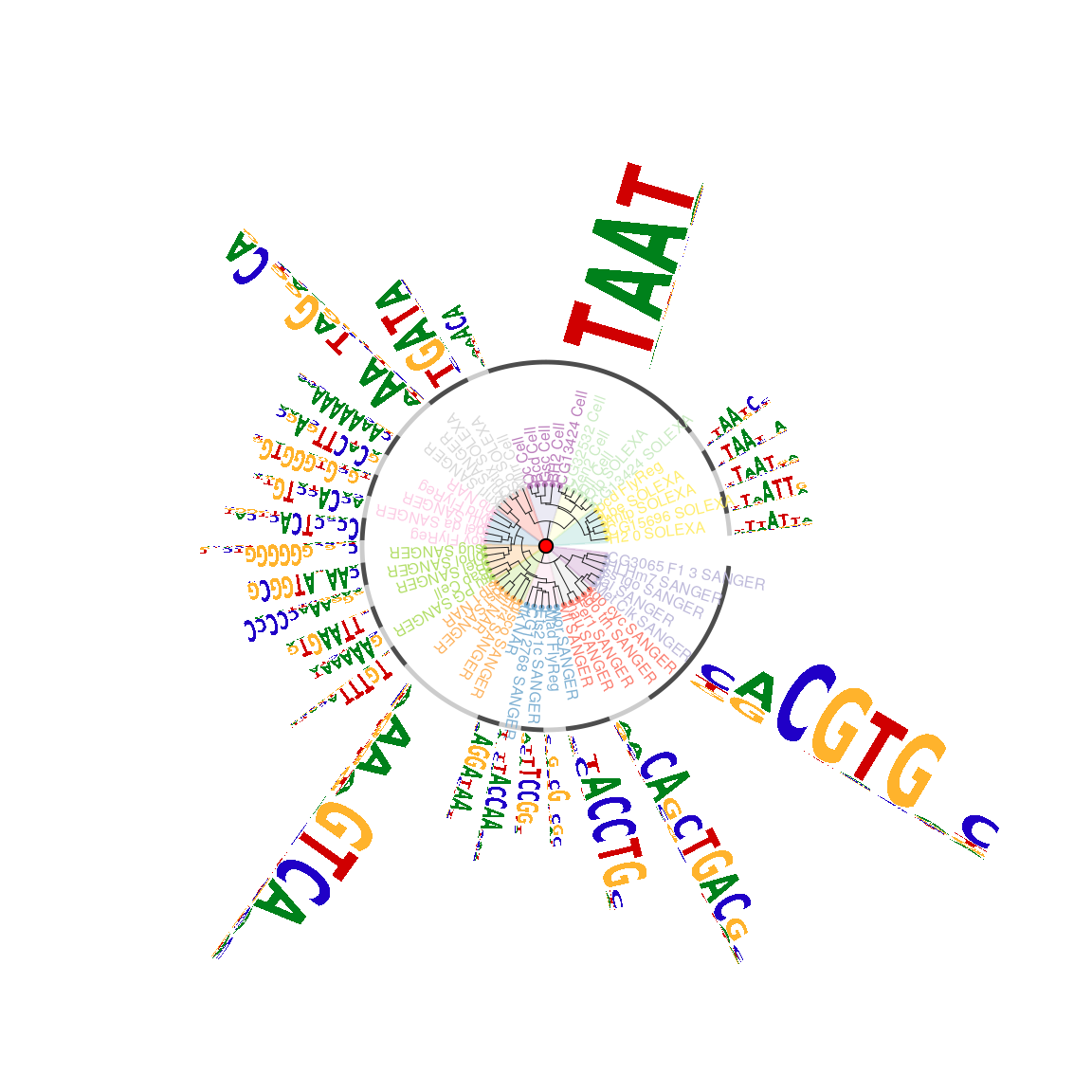 Plot sequence logo circos.