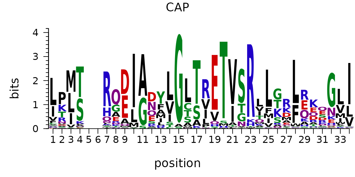 Plot an sequence logo with any symbols as you want such as amino acid sequence logo