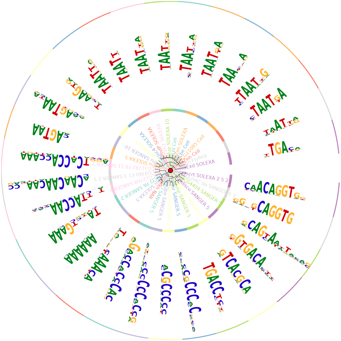 Plot motifs in a radial style when the number of motifs is too much to be shown in a vertical stack