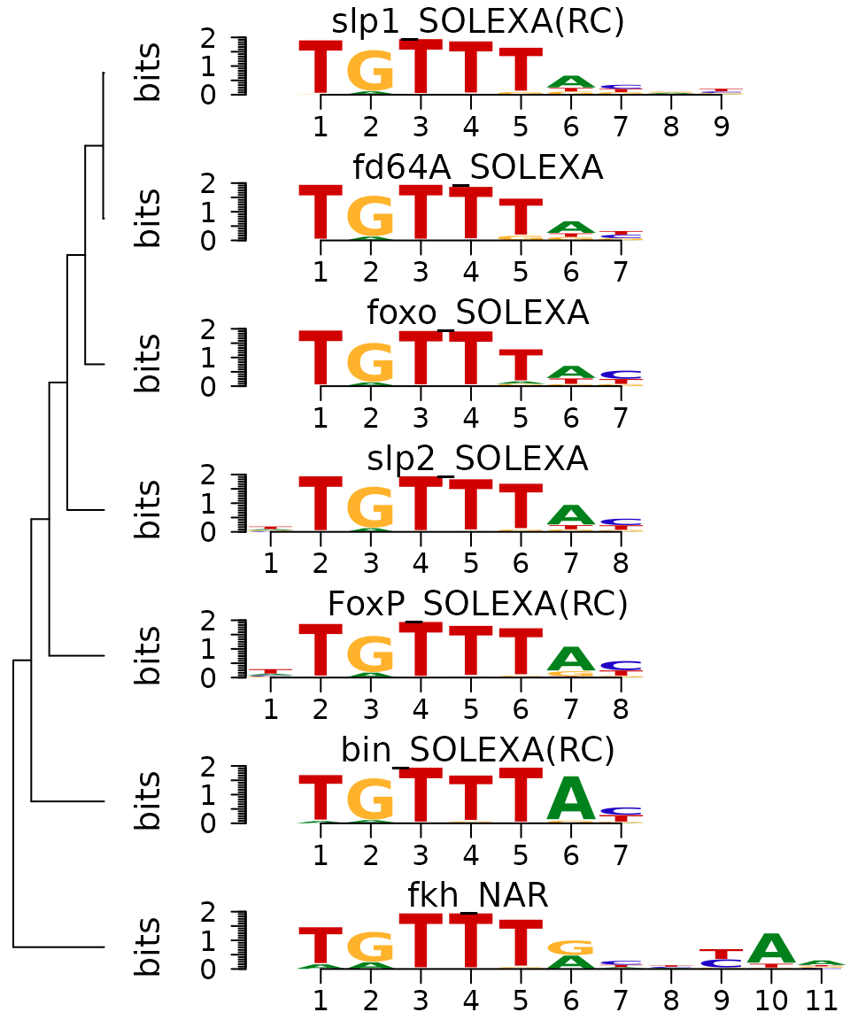 Sequence logo stack with hierarchical cluster tree