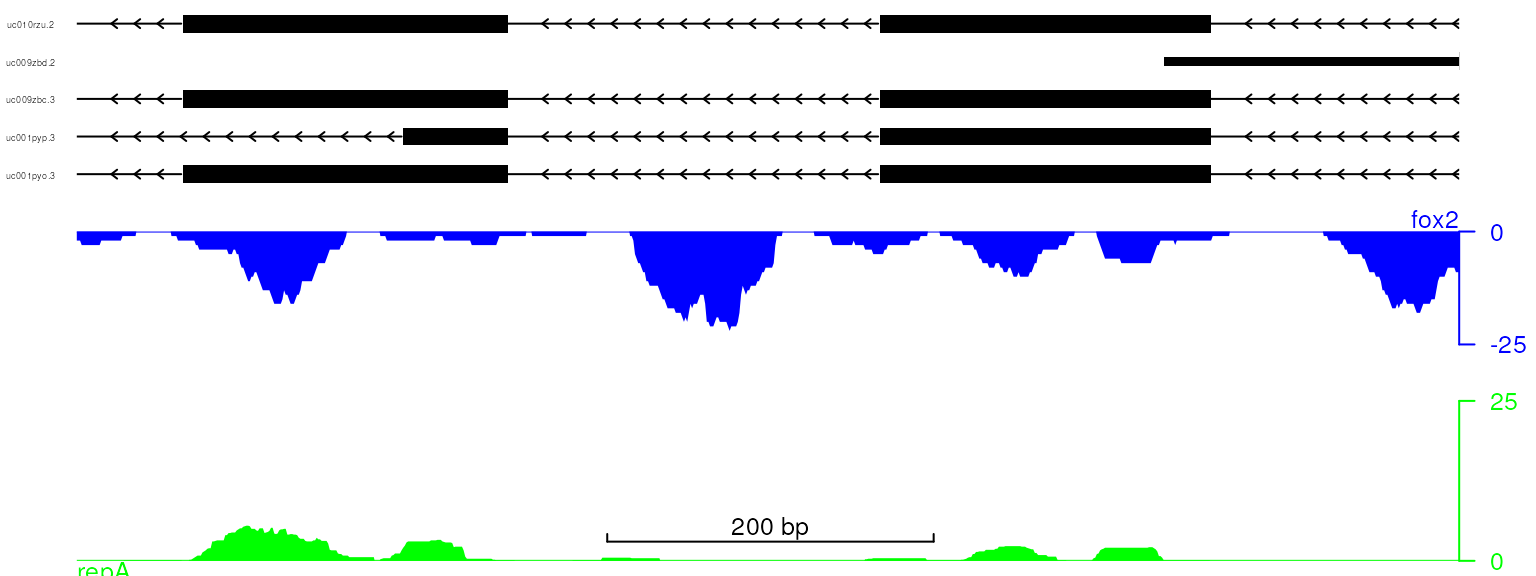 plot data with adjusted track color