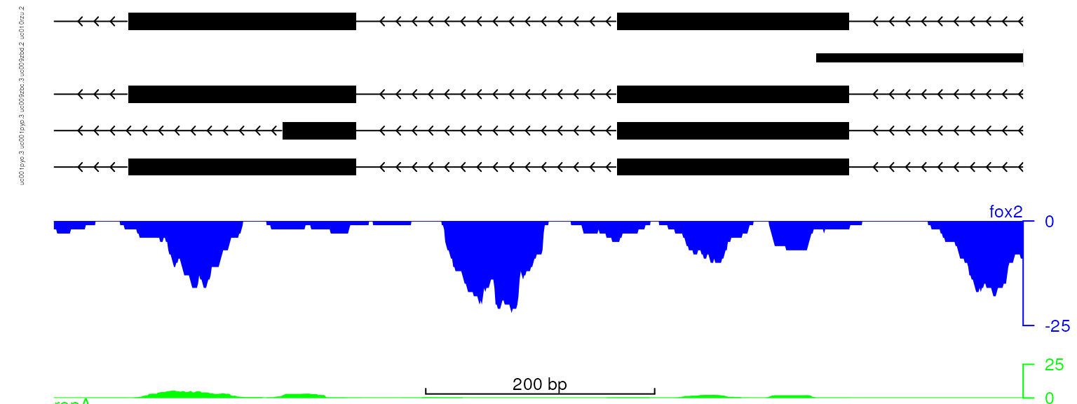 plot data with adjusted track height