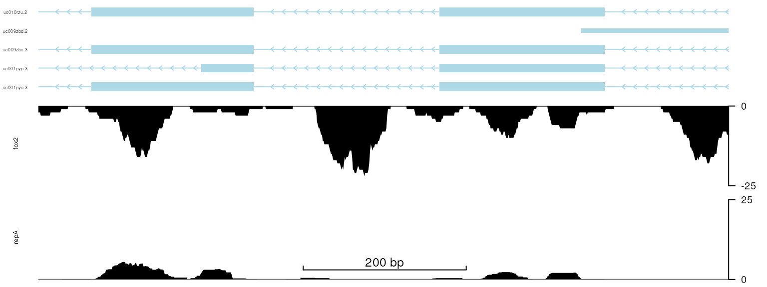 plot data with y-axis in right side