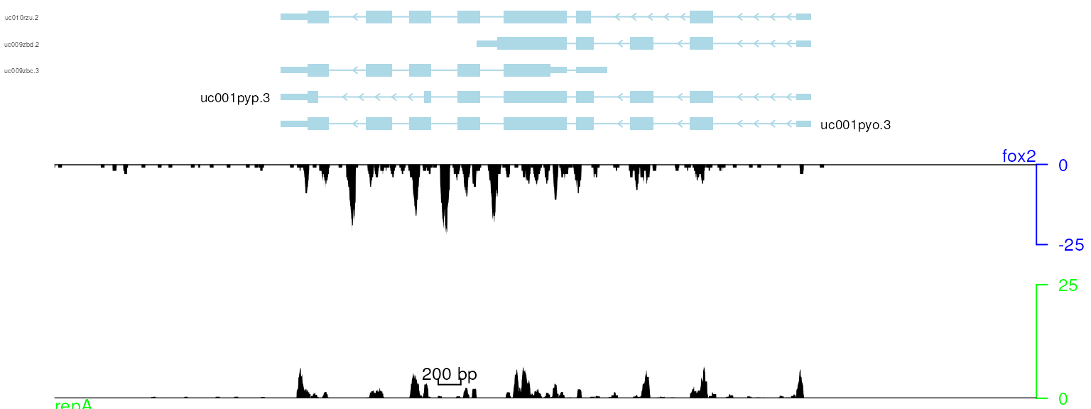 plot data with adjusted transcripts name position