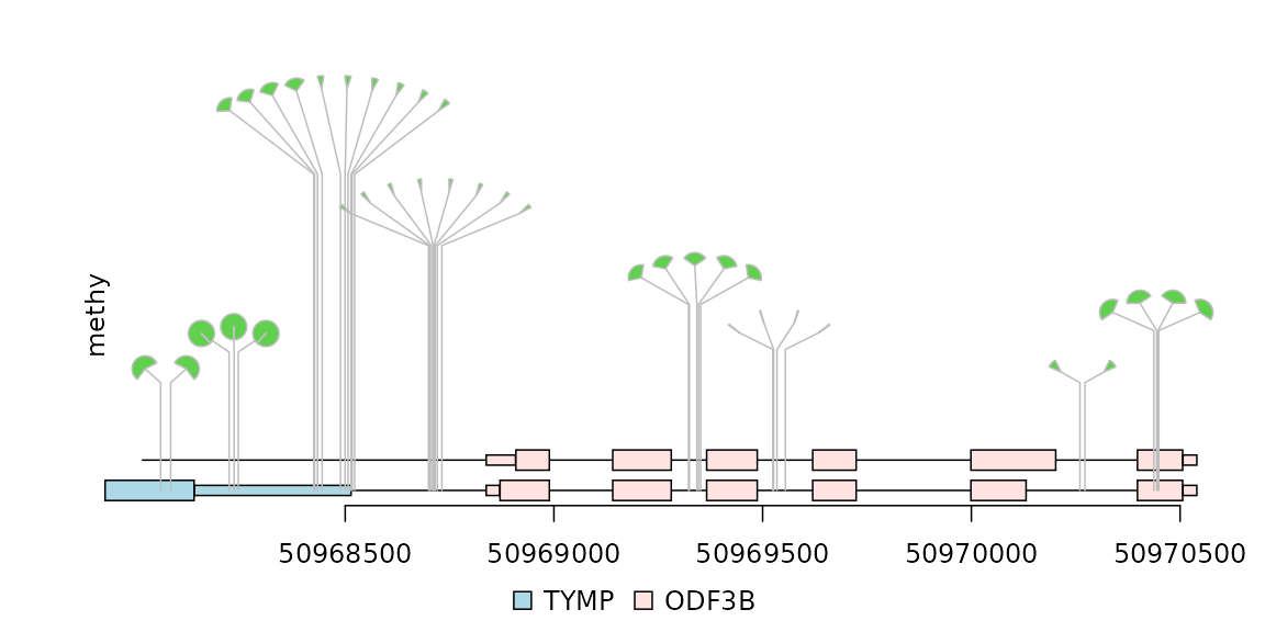dandelion plot