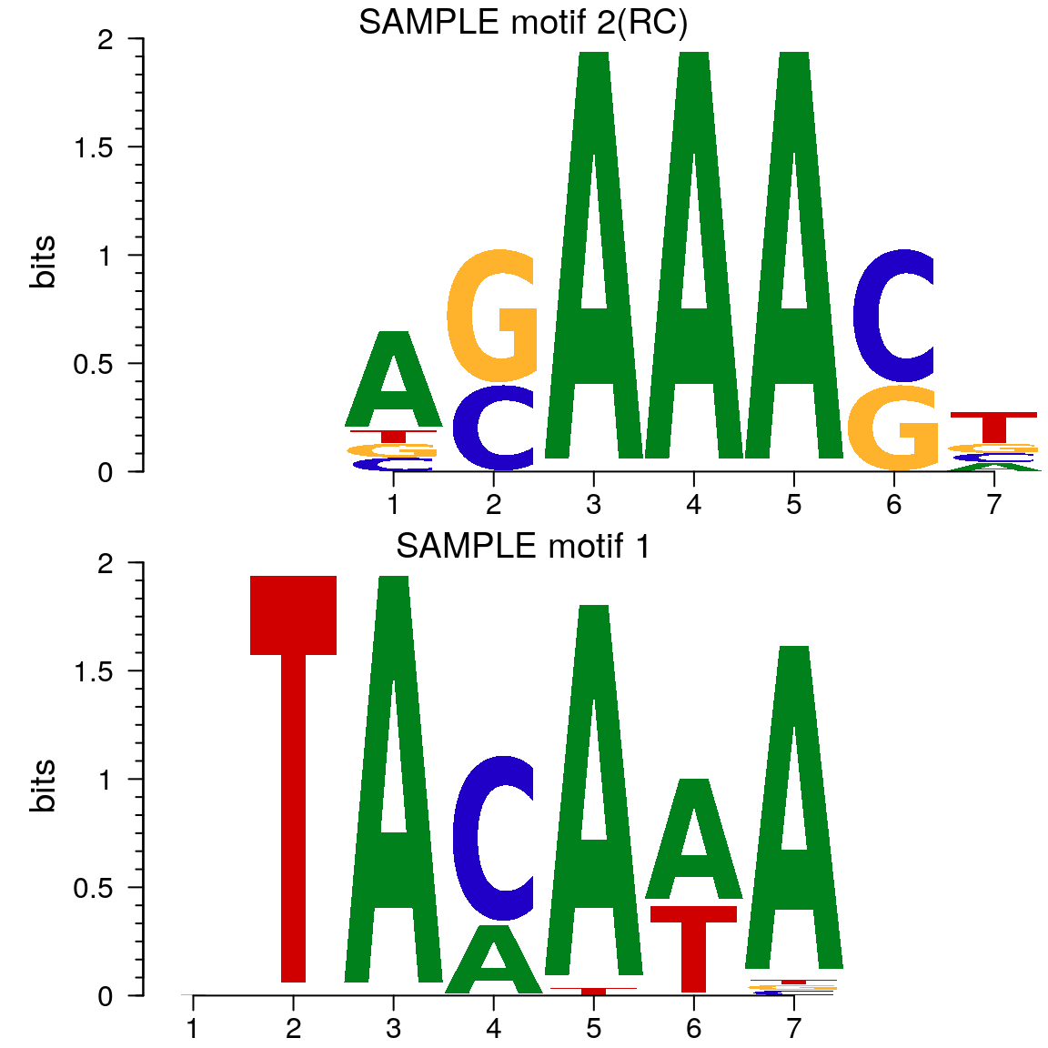 Motif of simulation data