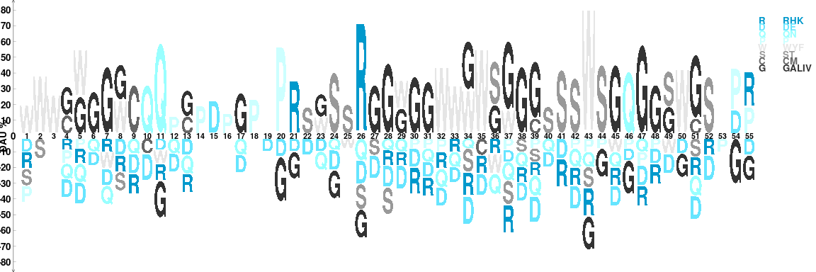 Visualizing conserved amino acid sequence pattern based on chemical properties and hydrophobicity