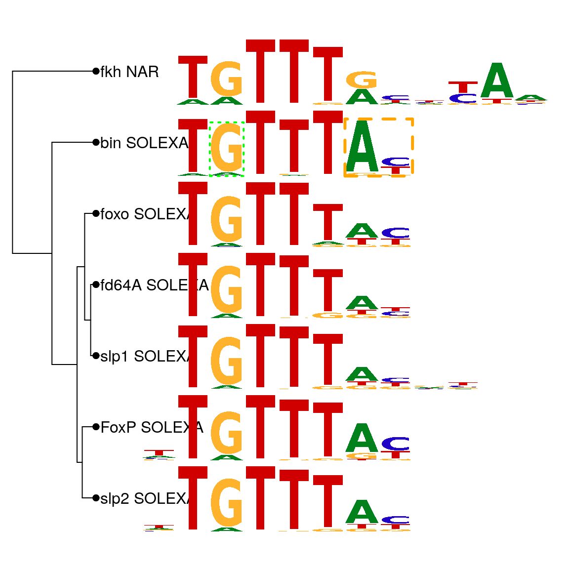 Plot sequence logo stack with phylog layout.