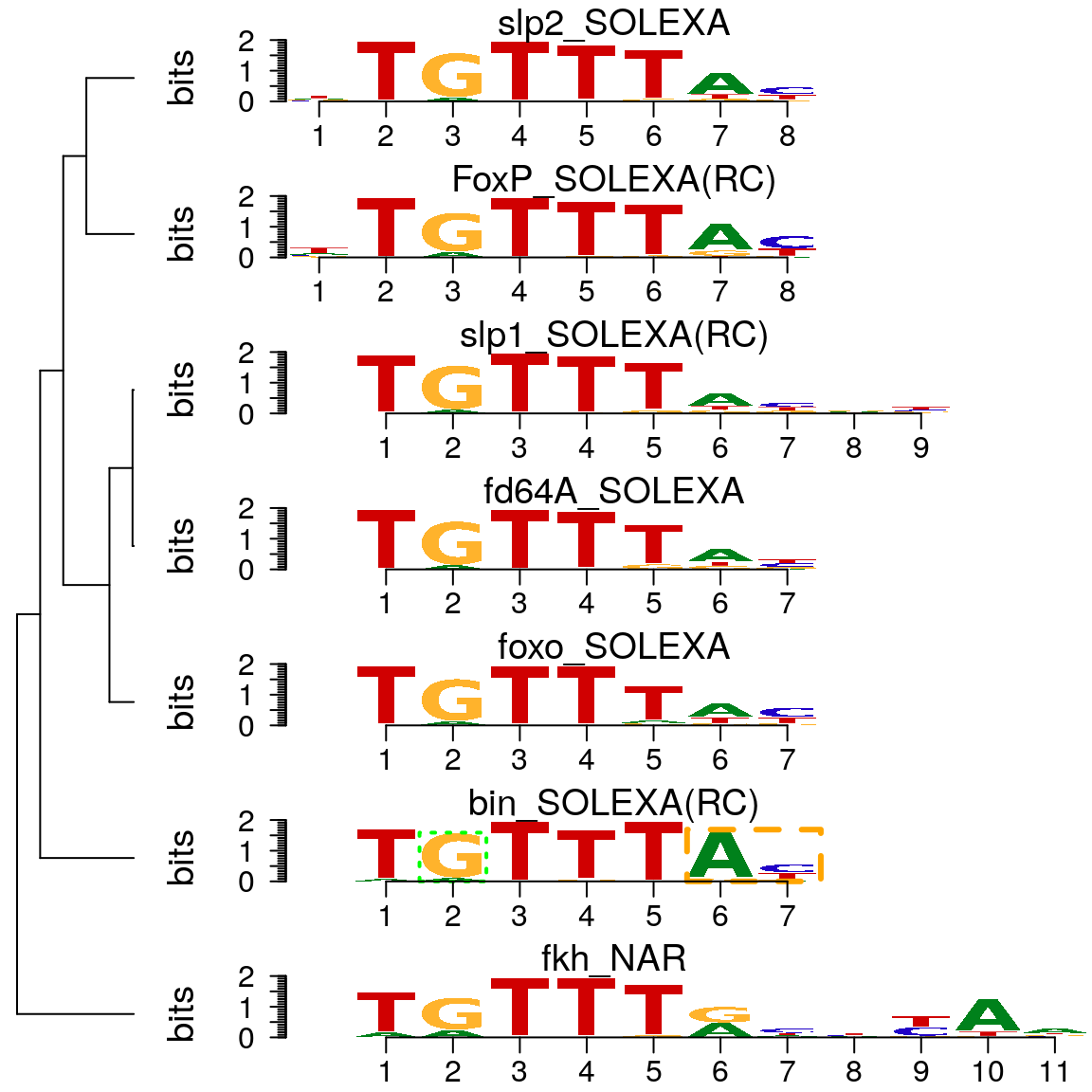 Plot sequence logo stack with tree layout.